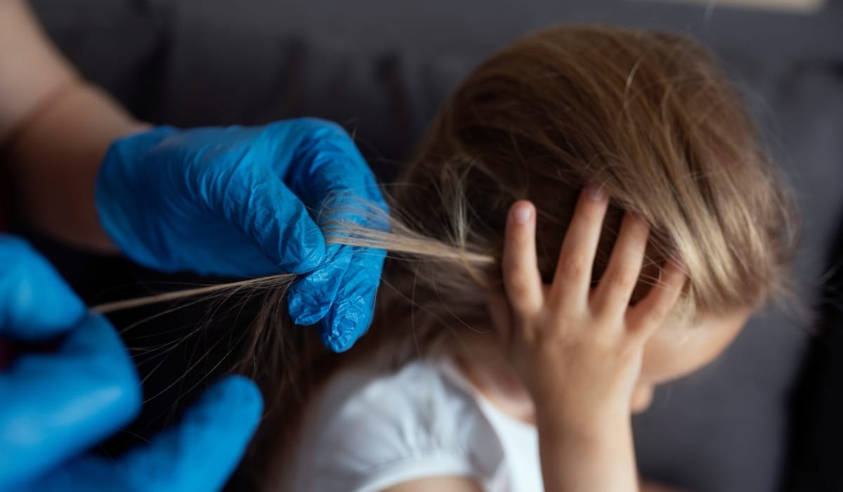 Head lice examination