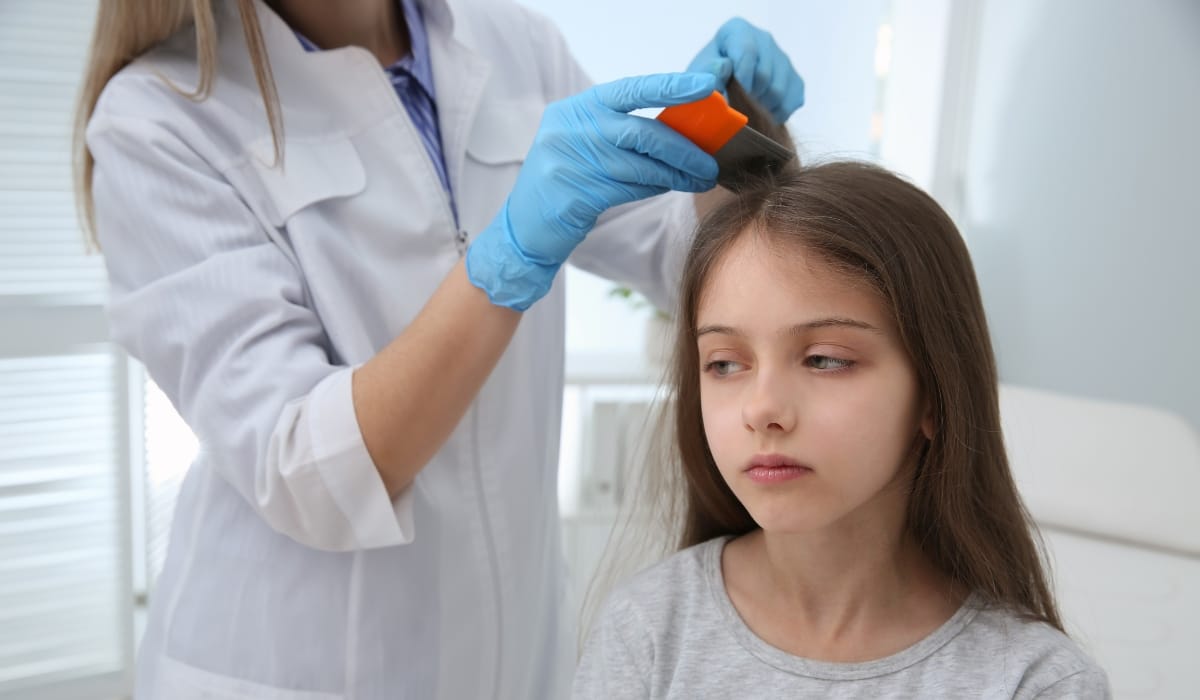 Professional lice check procedure