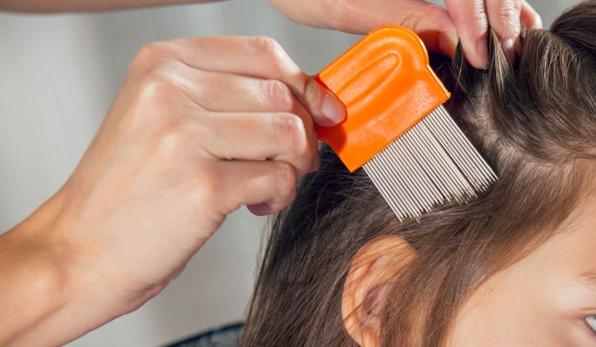 Lice removal process in a clinic