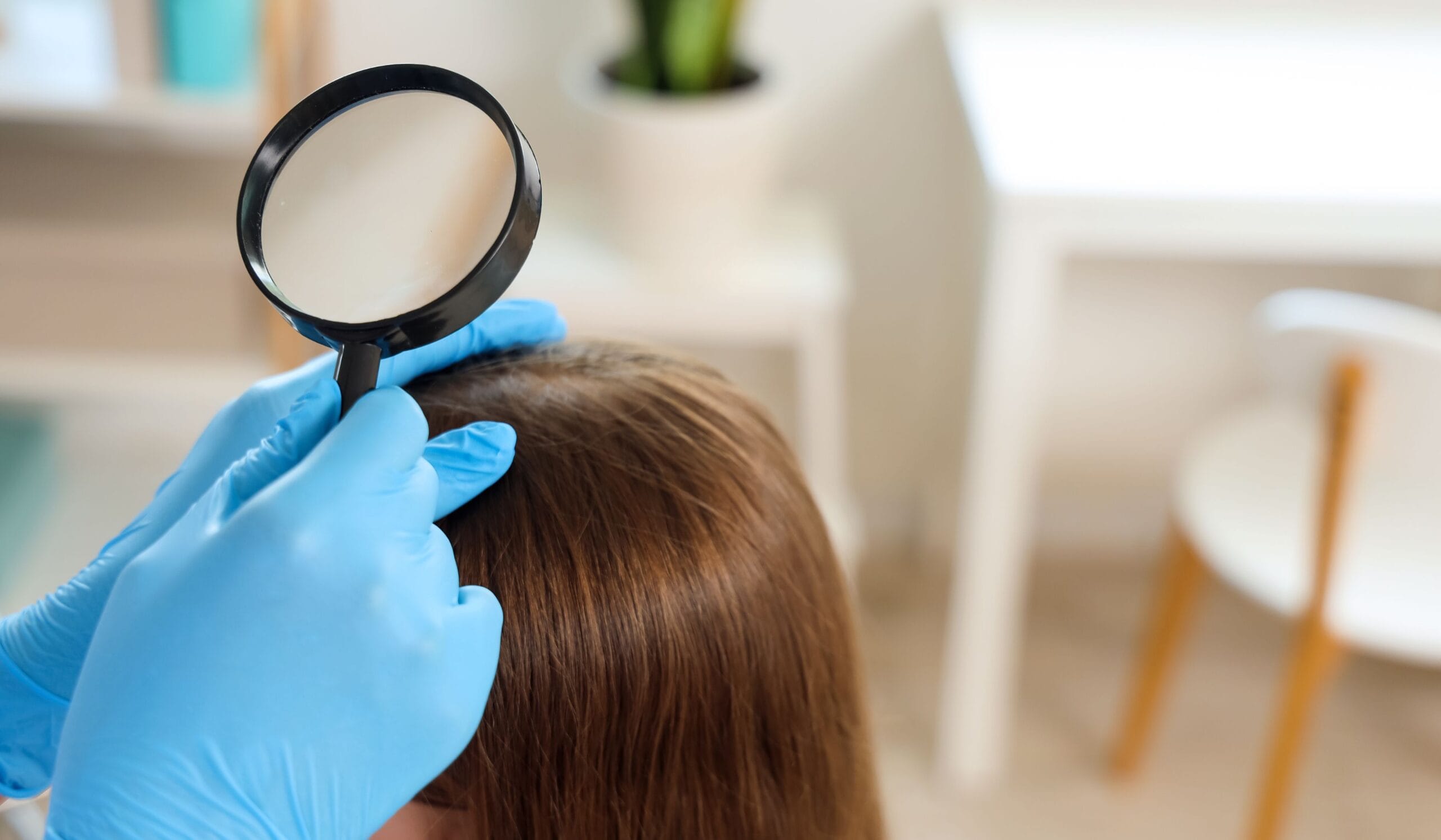 Lice specialist examines a child's hair in a clinic