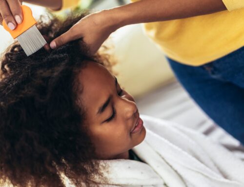 Lice Removal Experts