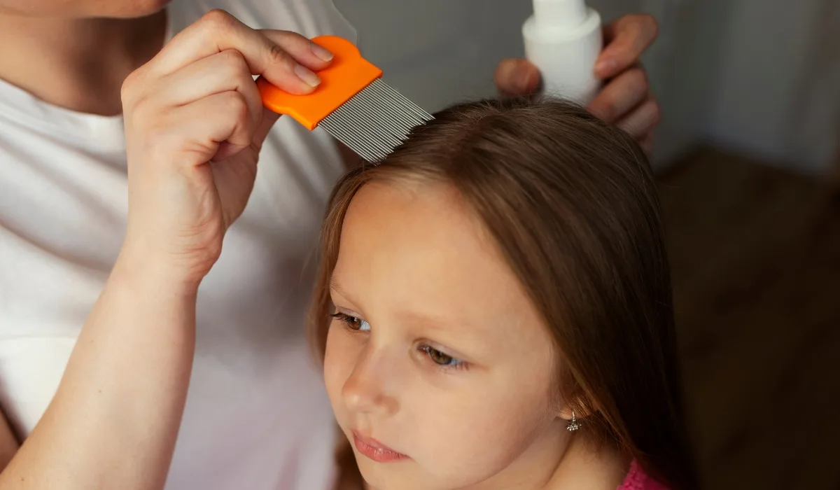 Professional lice treatment session