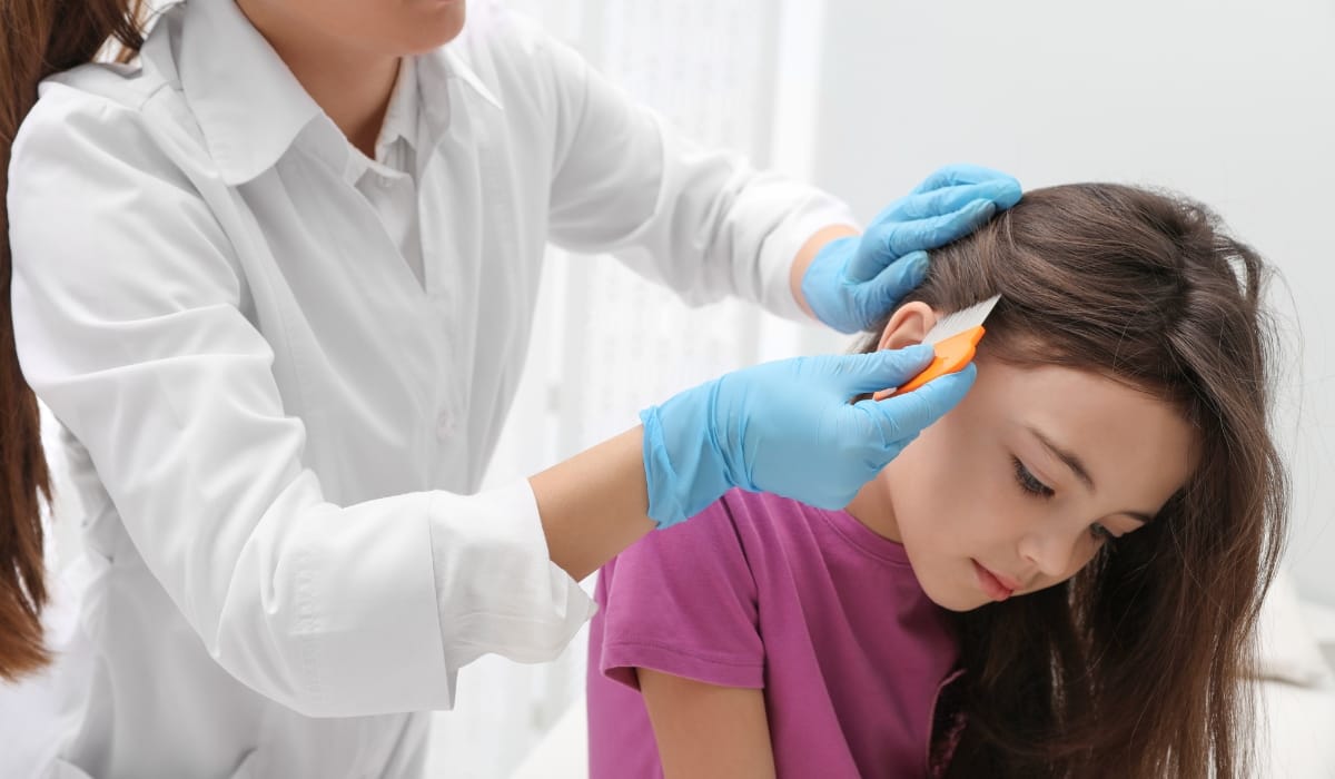 Seattle lice removal clinic offers professional treatment for children with head lice