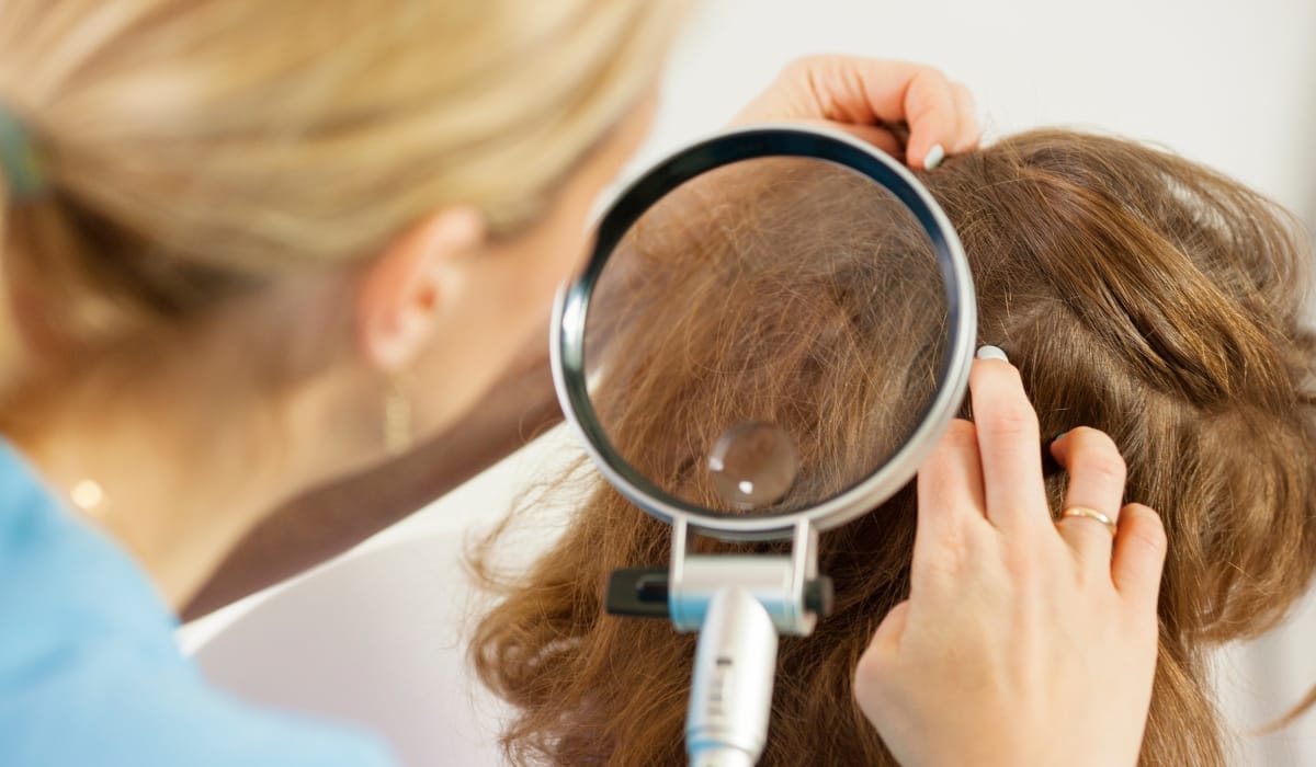 Professional lice inspection process